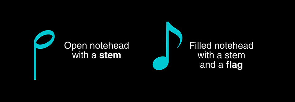 Stem on an open note head; stem and flag on a filled note head.