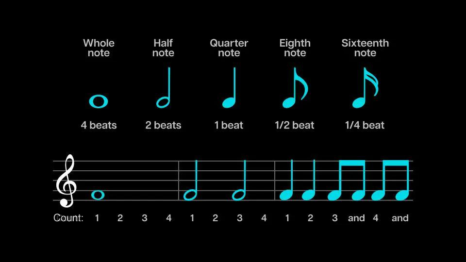 Rhythmic notation: note values and counts.
