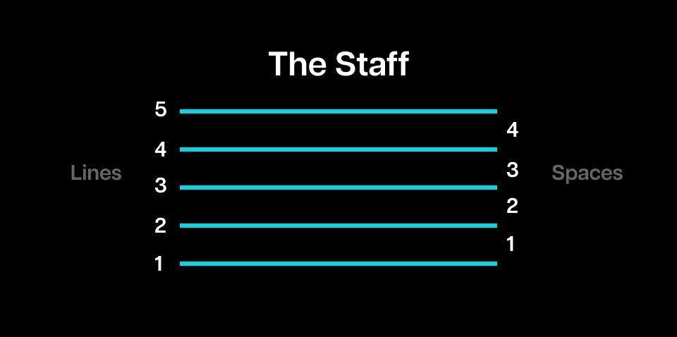 Staff, with lines and spaces, numbered from bottom to top.