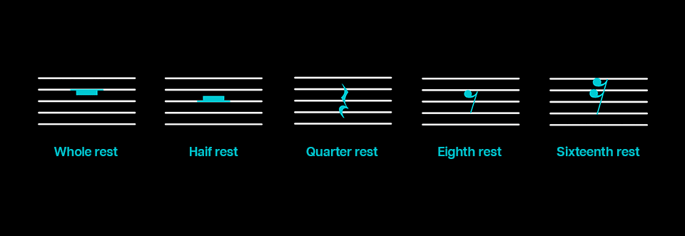 Sentinel Music Notes How to Read Sheet Music: A Comprehensive Guide For Beginners